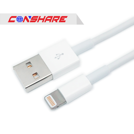 Lightning USB Cable 